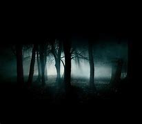Image result for Gothic Forest