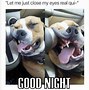 Image result for Good Night Meme Quick Thinking