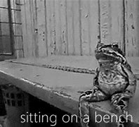 Image result for Frog Sitting Meme