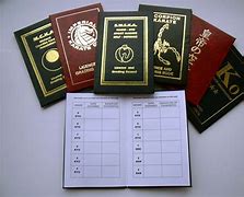 Image result for Martial Arts Passport
