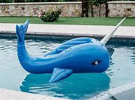 Image result for Cute Pool Floats