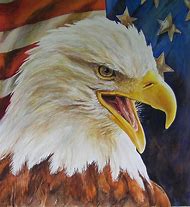 Image result for Eagle and Flag Drawing