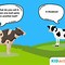 Image result for Dairy Cow Jokes