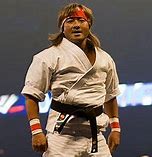 Image result for Styles of Kong Fu
