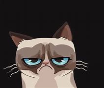 Image result for Cute Cartoon Cat Wallpaper