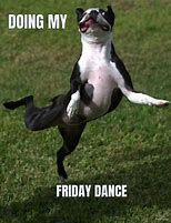 Image result for Friday Dance Meme