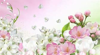 Image result for Apple Blossom Background Paper