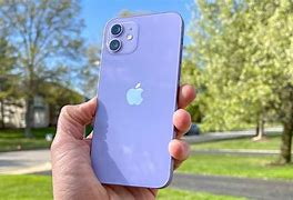Image result for iPhone 11 vs 12 Purple