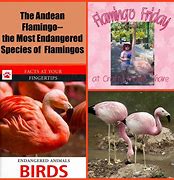 Image result for Tropical Flamingo Phone Cover