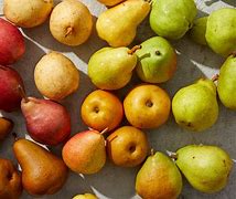 Image result for Types of Pears Fruit
