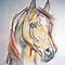 Image result for Horse Watercolor Painting