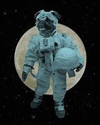 Image result for Pug Astronaut