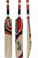 Image result for Kashmir Willow Cricket Bats Sport