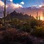 Image result for Sonoran Desert 4K Wallpaper. June