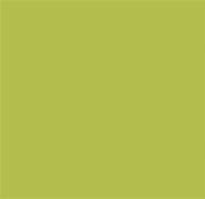 Image result for Chartreuse Pantone