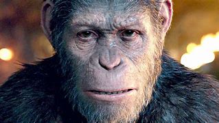 Image result for Apes Trained for War