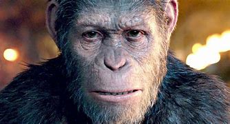 Image result for Planet of the Apes Gallery