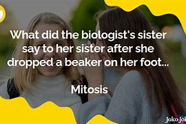 Image result for Mitosis Vs. Meiosis Joke