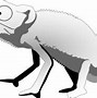 Image result for Gecko