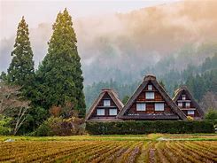 Image result for 25 Most Beautiful Places in Japan