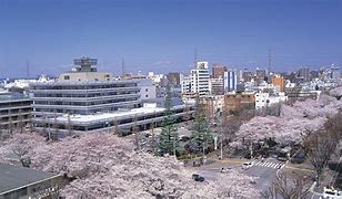 Image result for Sagamihara City