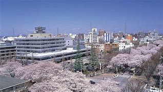 Image result for Sagamihara Famous People