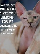 Image result for Powerful Funny Quotes