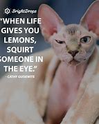 Image result for Bing Funny Positive Quotes