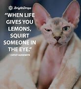 Image result for Quotes Inspirational Funny Note
