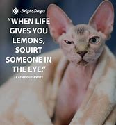Image result for People Be Like Funny Quotes