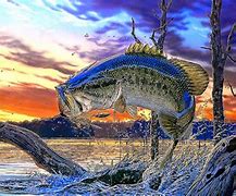 Image result for Bass Fishing Wallpaper 4K