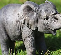 Image result for Adorable Baby Elephants