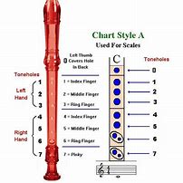 Image result for Recorder Colors
