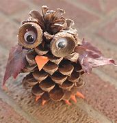 Image result for Acorn and Pine Cone Crafts
