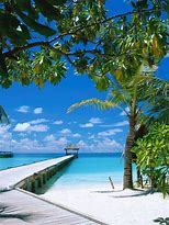Image result for Beach Wallpaper for iPad