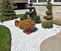 Image result for Decorative Stone Landscaping Rocks