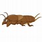 Image result for Cartoon Picture of Grasshopper