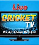 Image result for Cricket 6 Run Images