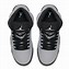 Image result for Air Jordan 5 Wolf Grey
