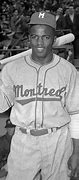 Image result for Jackie Robinson Logo and Information
