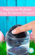 Image result for Egg Science Fair Projects
