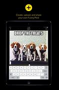 Image result for Funny Pics App