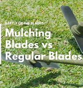 Image result for 10 Blade vs 15 Blade
