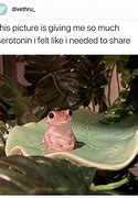 Image result for Frog Doing His Best Meme