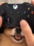Image result for Funny Xbox PFP