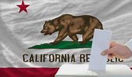 Image result for calvote