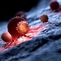 Image result for NK Cell Activating Receptors