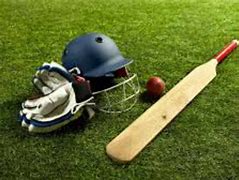 Image result for Cricket Sets Sport