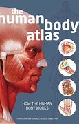 Image result for Human Body Atlas Anatomy