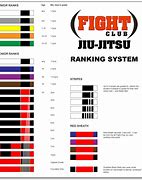 Image result for Belts in Jiu Jitsu